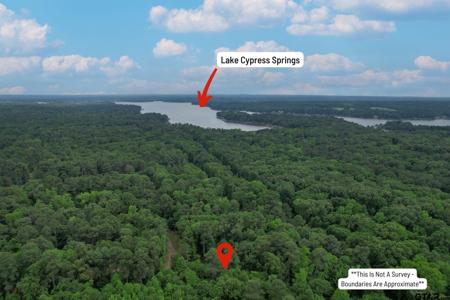 Lot 71 Bandera St.