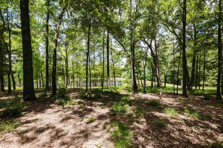 14881 Lake Meadow Court