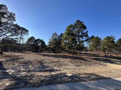 3135 Shadow Pine Drive
