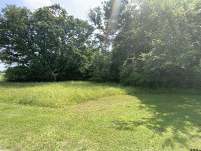 TBD Roseway St