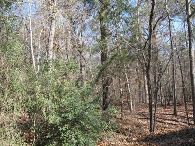 to be determine County Rd 2337