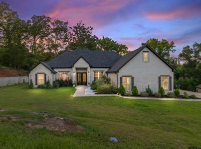 15883 Crazy Horse