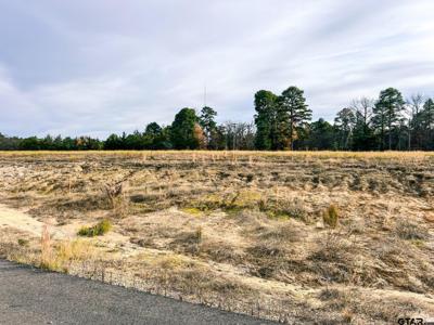 TBD LOT 39 Southshore