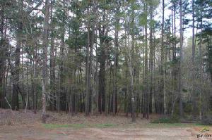 15475 County Road 1197
