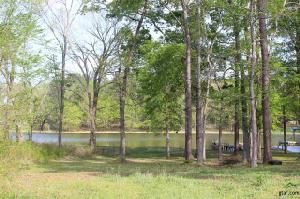 528 Crepe Myrtle
