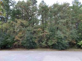 14676 Jade Forest Trl