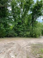 TBD Birchbark Lane