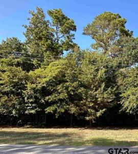 TBD Rocky Ridge