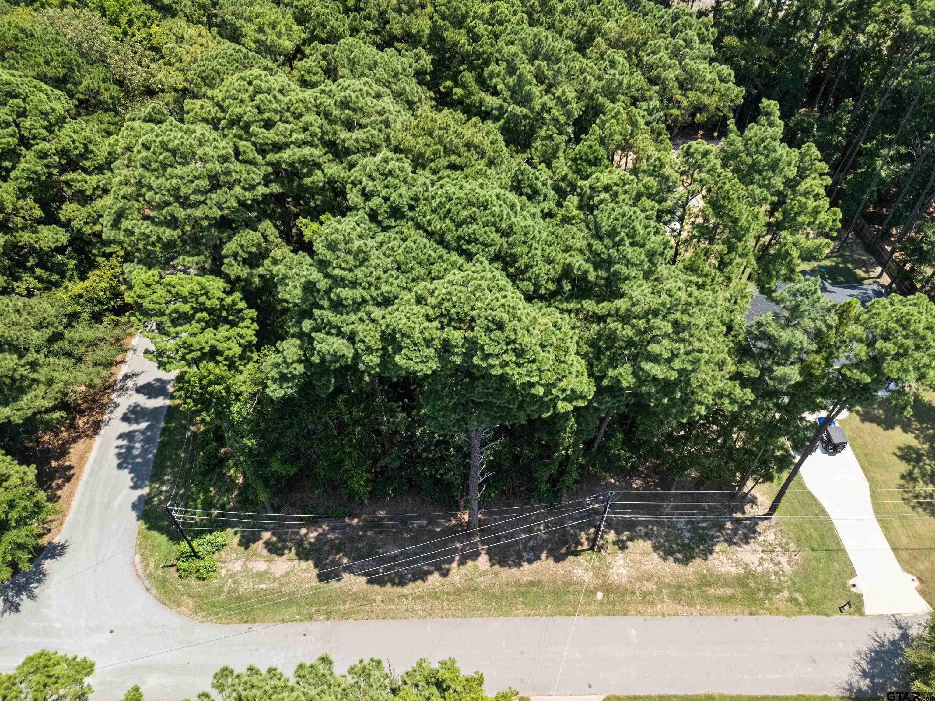 Image 3: Wooded corner lot