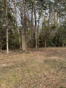 Lots 316 & 317 Brazos Bend