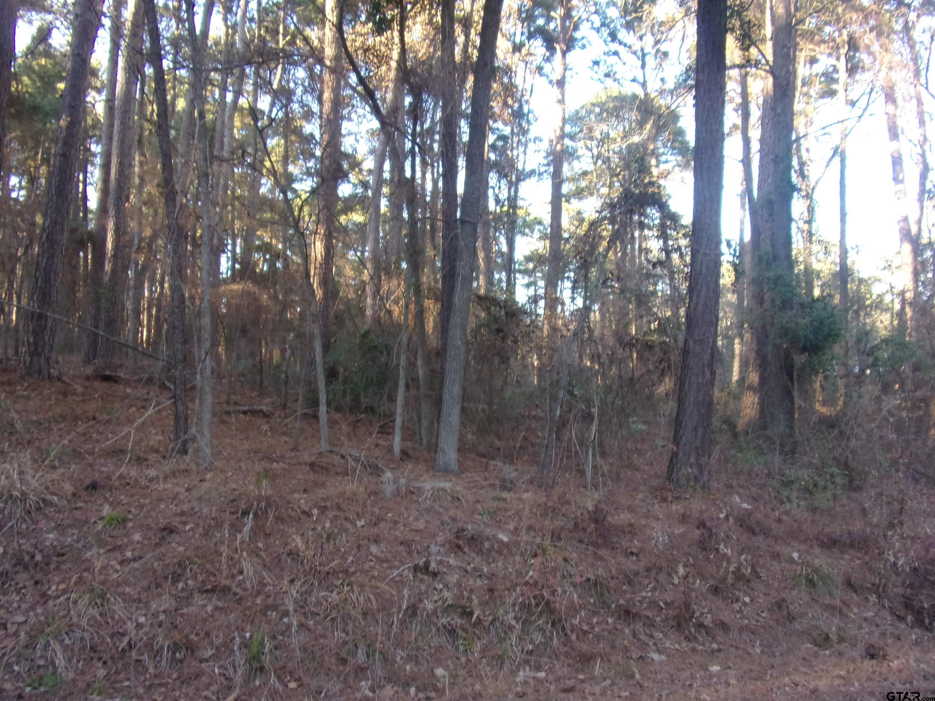 Image 0: 2 nice treed lots in lake community