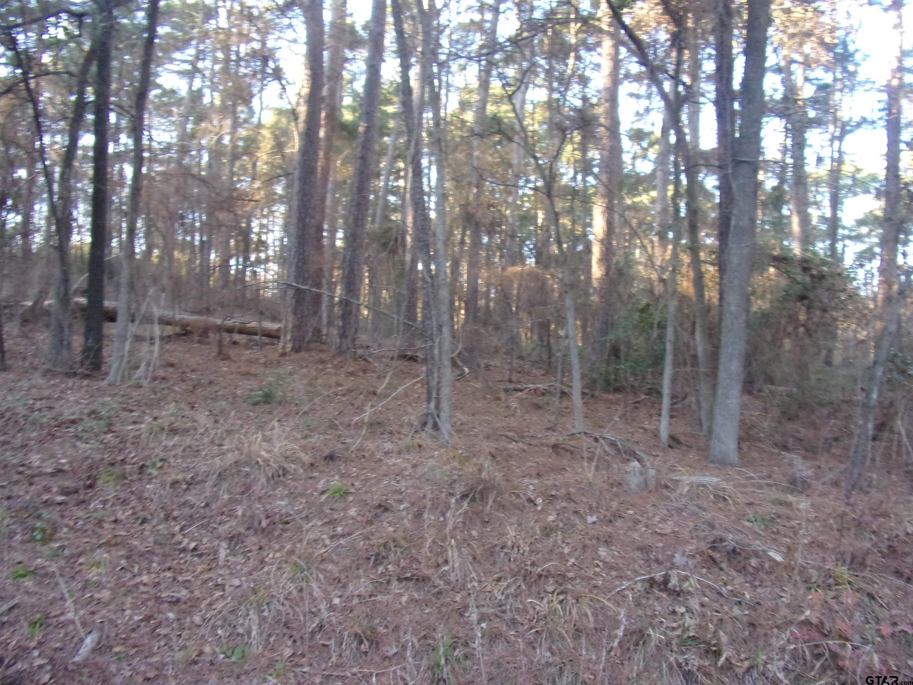 Image 1: .22 acre home site