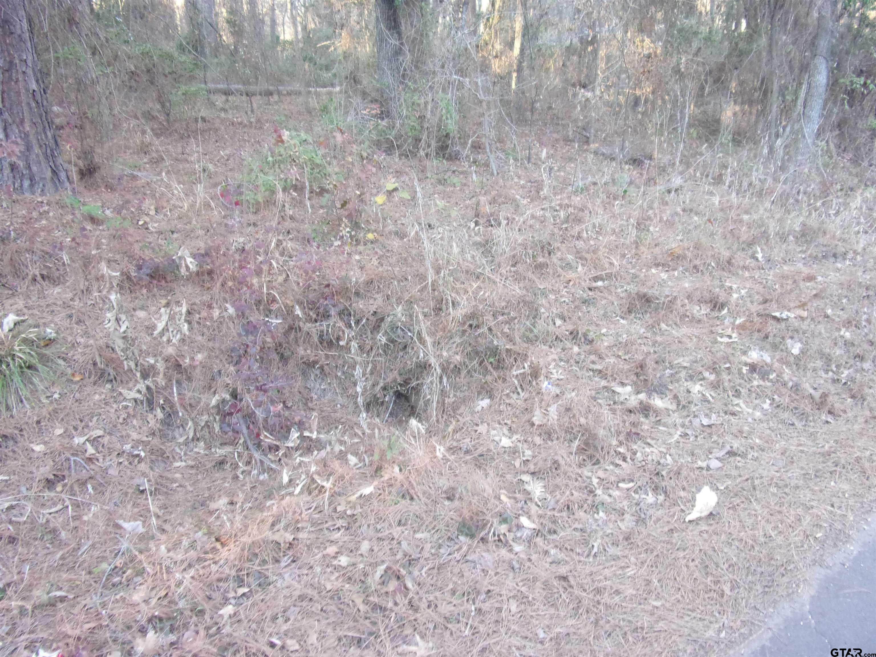 Image 2: culvert and drive way to lots