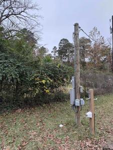 239 Elizabeth Dr