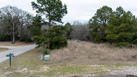 LOT 65 Durango Path