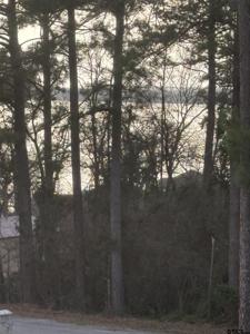 20847 Lakeview