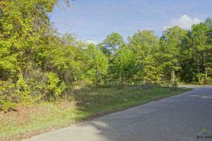 14847 HAZEL LEAF COURT