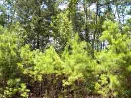 510-511-512 Wild Lake Path