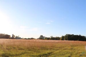 Lot 19 PR 5986