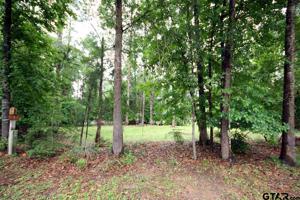 15A, 15B Pine Tree