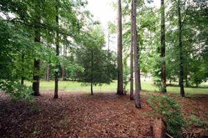 16A, 16B Pine Tree