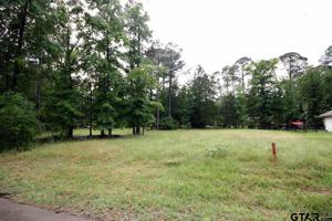 17A, 17B Pine Tree