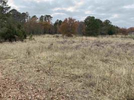 TBD Cimarron Trail