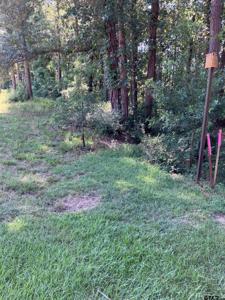 Lot 46 Wilson Rd.