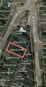 22937 Pin Oak Dr