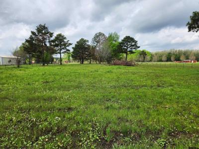 TBD County Road 4202