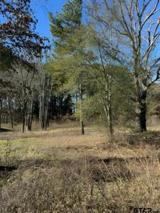 Lot 3 Berrycreek Circle