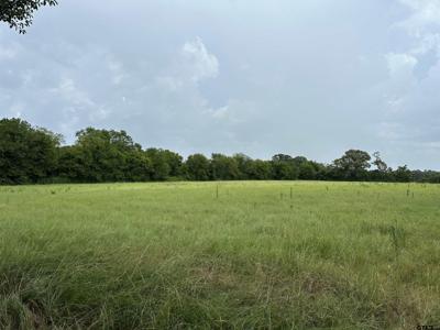 3697 An County Road 309 Tract 2 B North Tract