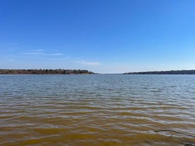 LOT 14 County Road 4396