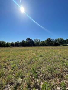 000 County Road 2138