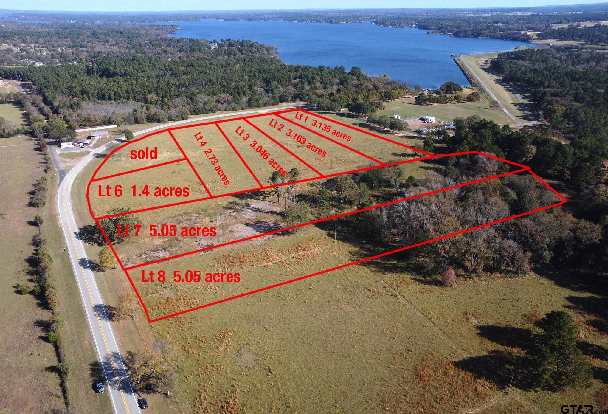 Image 1: Aerial View of Lot 8 and Lake Palestine