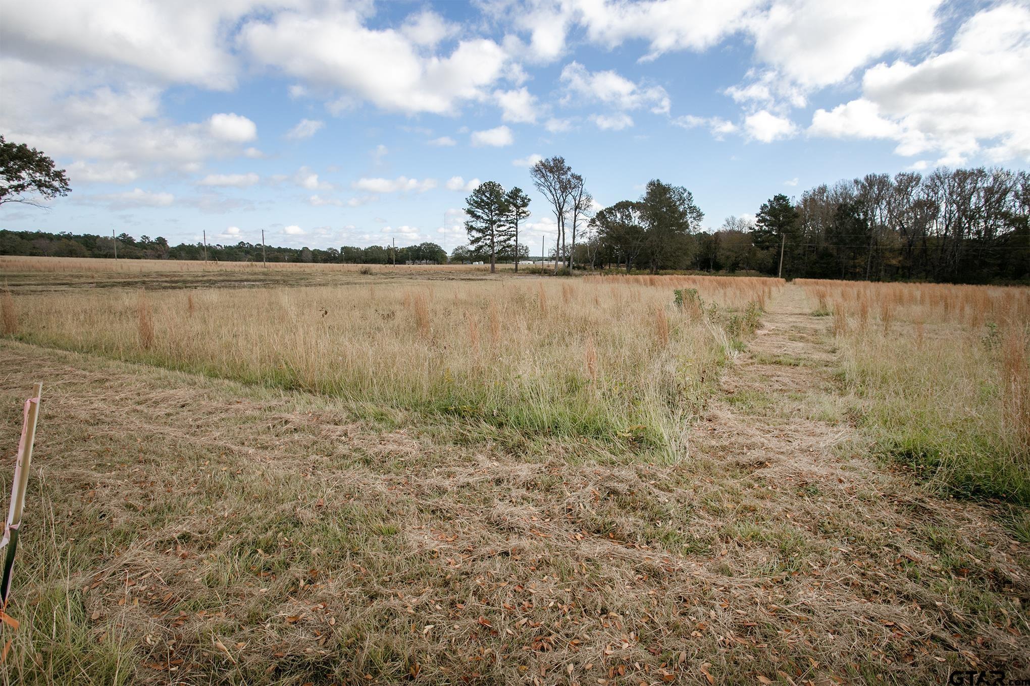 Image 1: Level Lot 4