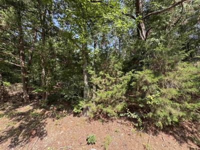 Lot 19 S Whispering Pine Trail
