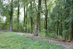 Lot 43 Nadia Ln