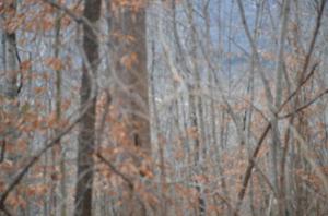 .78 ac Hillside Drive