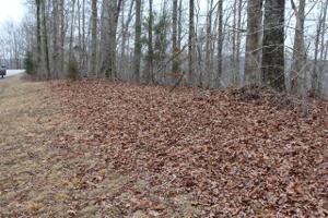 Lot 5 Harbor Green Pl