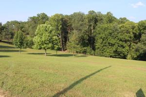 4.3ac Bluebird Ridge Rd