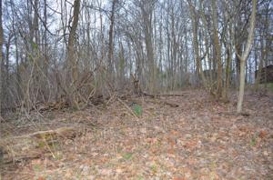Lot 5 Eastridge Dr.