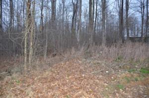 Lot 6 Eastridge Dr.