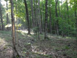 6.71AC Cherokee Drive