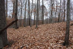 Lot 12 Cornerstone Pkwy
