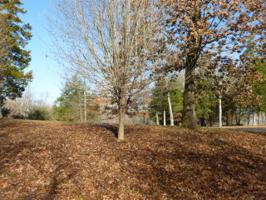 lot 60 Big Hollow Road