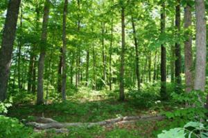 Lot 7-8 Cornerstone Pkwy