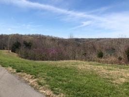 Lot 28 Eagle Creek Estates/Bald Eagle Ln