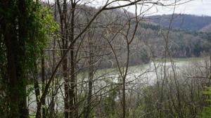 Lot#82 Waterwalk Court