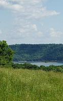 LOT 134 Rutherford LN